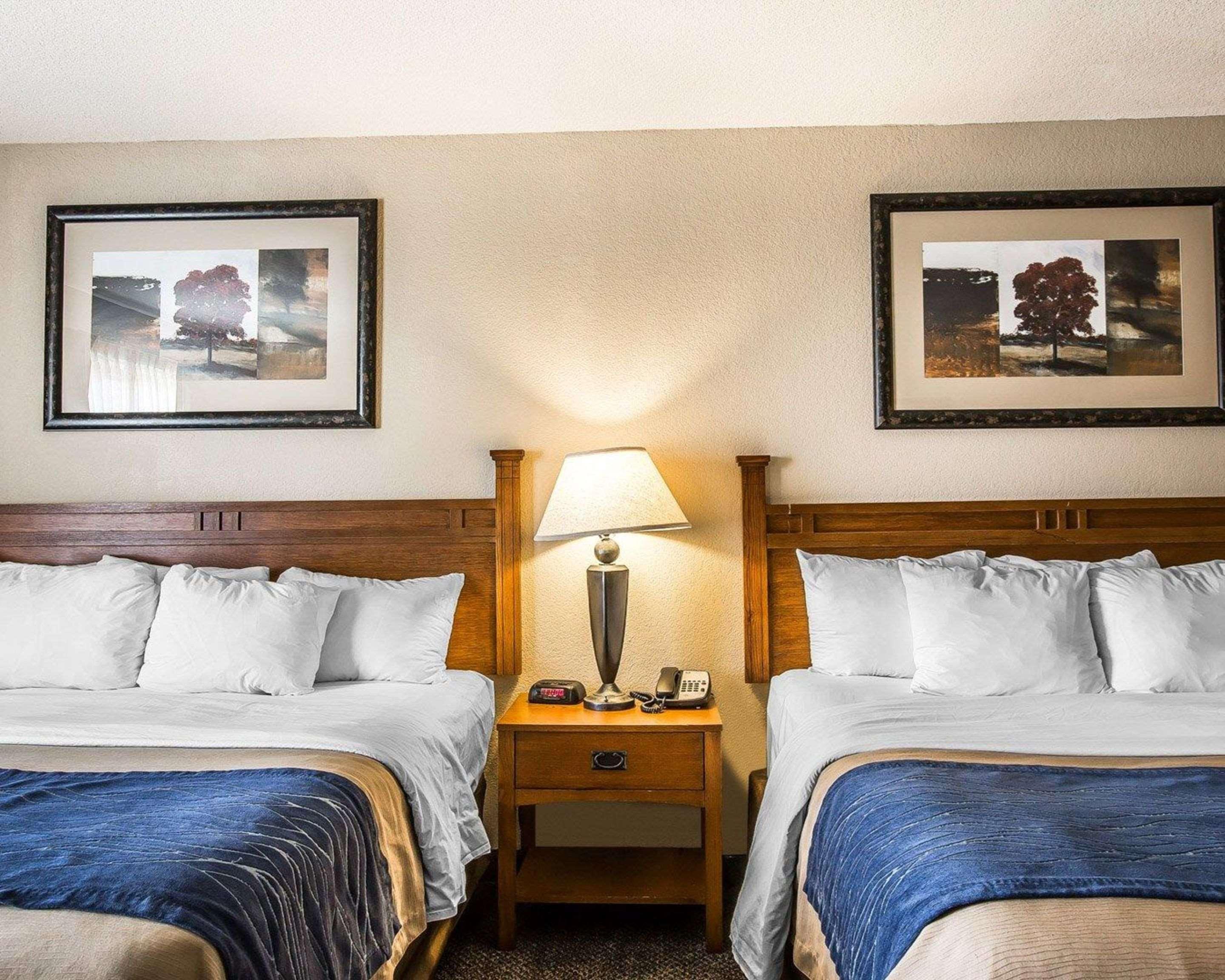 Comfort Inn & Suites Blue Ridge Εξωτερικό φωτογραφία